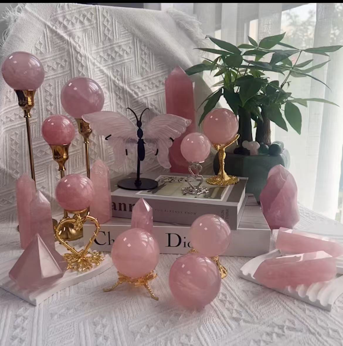 Evan link lightspotcrystal